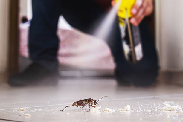 Best Bed Bug Extermination  in Thorndale, PA