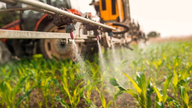 Professional Pest Control in Thorndale, PA